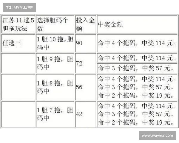 天津11选5玩法解析与投注技巧探讨，助您轻松提升中奖几率